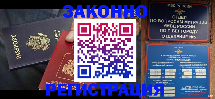 прописка законно в Луге